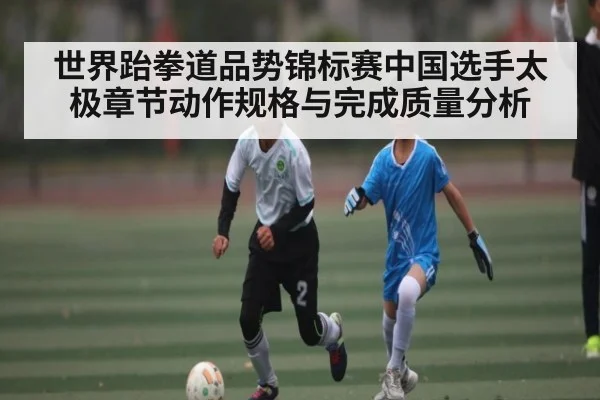 世界跆拳道品势锦标赛中国选手太极章节动作规格与完成质量分析
